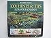 1001 Hints & Tips for Your Garden : An Indispensable Guide to Easier and More Effective Gardening