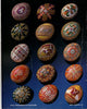 Ukrainian Design Book I
