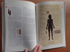 The Complete Illustrated Guide to Chinese Medicine: A Comprehensive System for Health and Fitness Williams, Tom