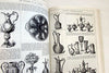 The Crystal Palace Exhibition Illustrated Catalogue (Dover Pictorial Archive Series)