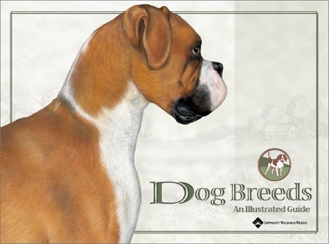 Dog Breeds: An Illustrated Guide used book depot