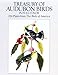 Treasury of Audubon Birds in Full Color: 224 Plates from "the Birds of America"