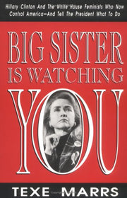 Big Sister Is Watching You: Hillary Clinton and the White House Feminists Who Now Control America--And Tell the President What to Do used book depot