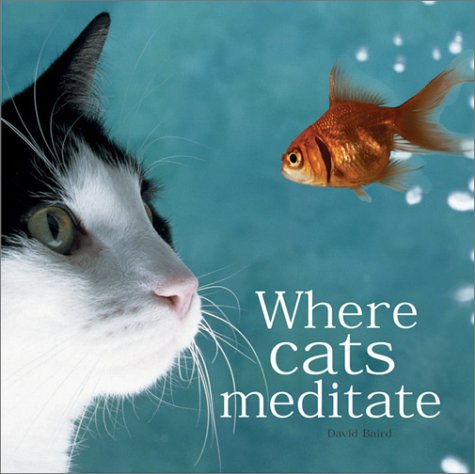 Where Cats Meditate used book depot