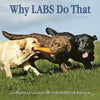 Why Labs Do That: A Collection of Curious Labrador Behaviors [Hardcover] Davis, Tom