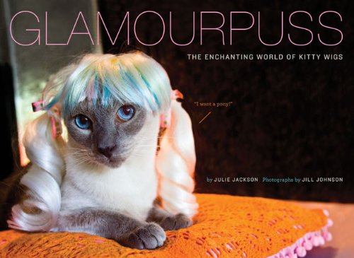 Glamourpuss: The Enchanting World of Kitty Wigs used book depot