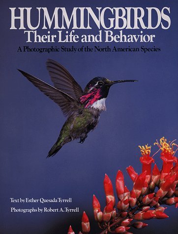 Hummingbirds: Their Life and Behavior (Signed First Edition): A Photographic Study of the North American Species used book depot