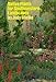 Native Plants for Southwestern Landscapes