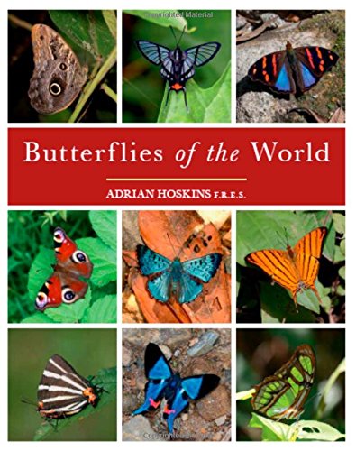 Butterflies of the World Hoskins, Adrian
