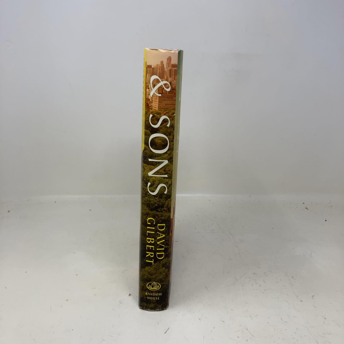 & Sons used book depot