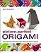 PicturePerfect Origami: All You Need to Know to Make Fantastic Origami Creations Shown in StepbyStep Photos Robinson, Nick