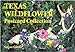 Texas Wildflower Postcard Collection Gibler, Susan