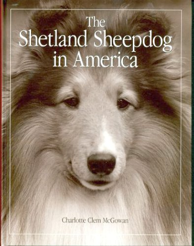 The Shetland Sheepdog in America used book depot