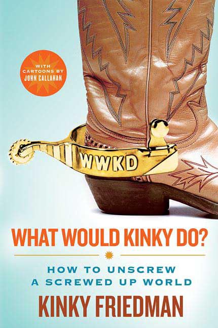 What Would Kinky Do?: How to Unscrew a Screwed-Up World used book depot