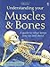 Understanding Your Muscles  Bones Science for Beginners Series Treays, Rebecca and Fox, Christyan