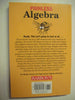 Painless Algebra (Barron's Painless)