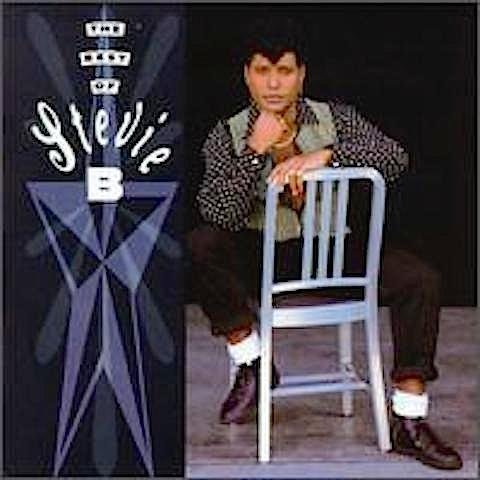 The Best Of Stevie B used book depot