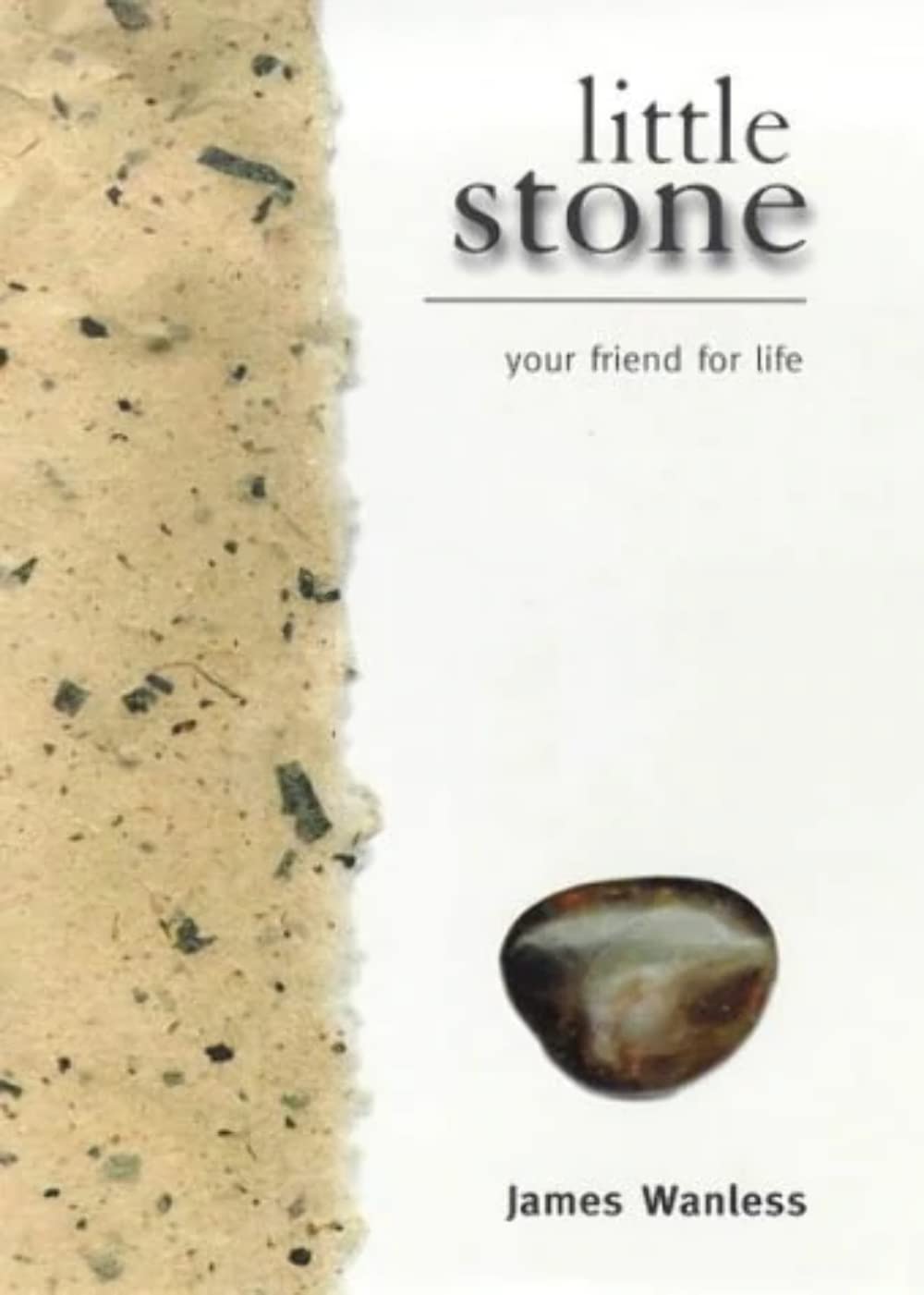 Little Stone used book depot
