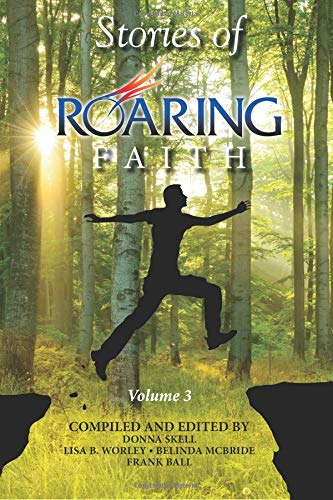 Stories of Roaring Faith Book 3 used book depot