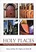 Holy Places: Matching Sacred Space with Mission and Message [Paperback] DeMott, Nancy; Shapiro, Tim and Bill, Brent