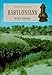 Babylonians (Peoples of the Past, 1)