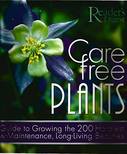 Care-Free Plants