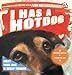 I Has a Hotdog: What Your Dog Is Really Thinking Happycat, Professor