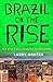 Brazil on the Rise: The Story of a Country Transformed Rohter, Larry