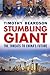 Stumbling Giant: The Threats to Chinas Future Timothy Beardson