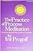 The Practice of Process Meditation [Paperback] Progoff, Ira