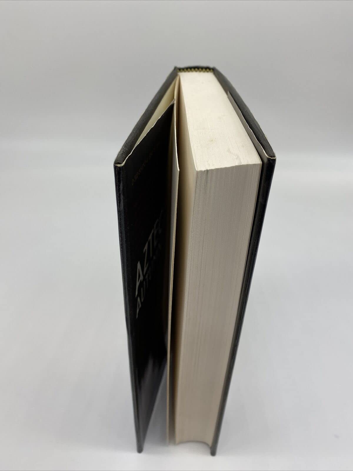 Aztec Autumn used book depot