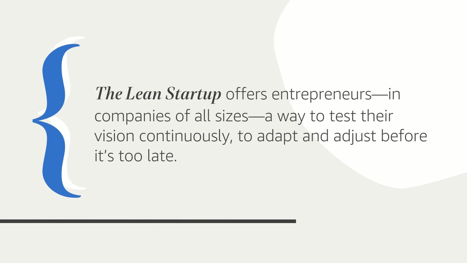 The Lean Startup: How Today's Entrepreneurs Use Continuous Innovation to Create Radically Successful Businesses used book depot