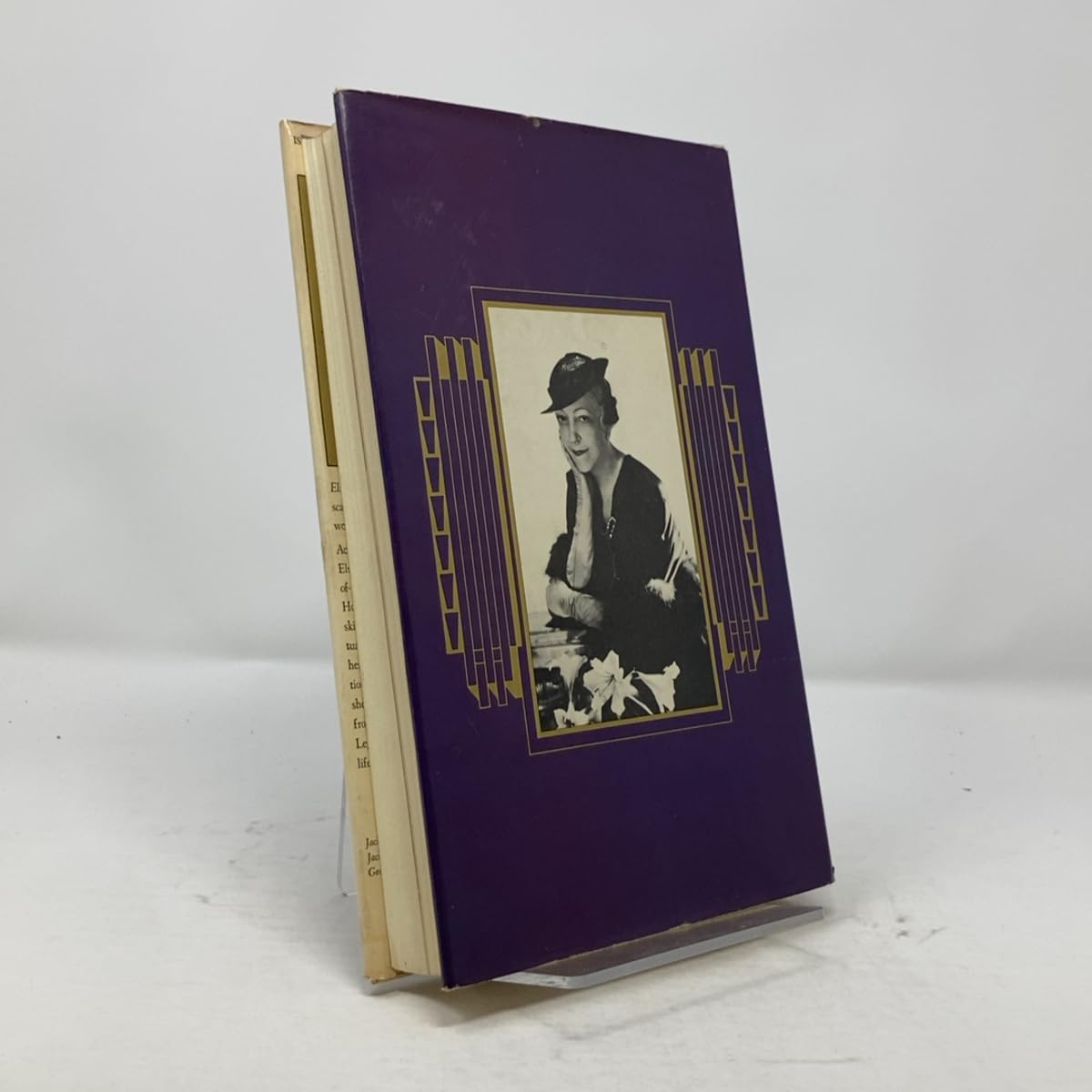 Elsie De Wolfe: A Life in the High Style (The Elegant Life and Remarkable Career of Elsie de Wolfe, Lady Mendl) used book depot