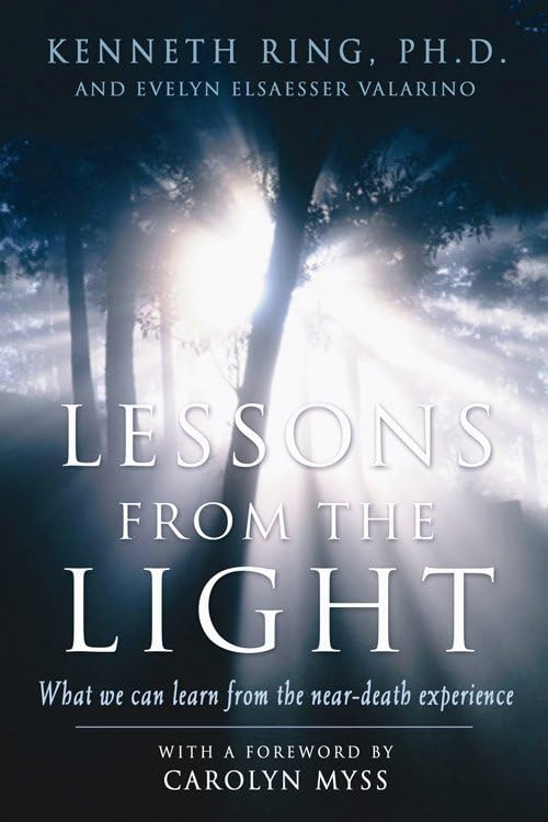 Lessons from the Light: What We Can Learn from the NearDeath Experience used book depot