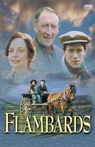 Flambards Collection Set [DVD] used book depot