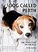 A Dog Called Perth: The True Story of a Beagle [Paperback] Martin, Peter