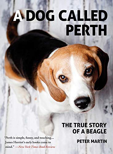 A Dog Called Perth: The True Story of a Beagle [Paperback] Martin, Peter