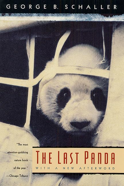 The Last Panda used book depot