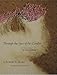 Through The Eyes Of The Condor: An Aerial Vision of Latin America