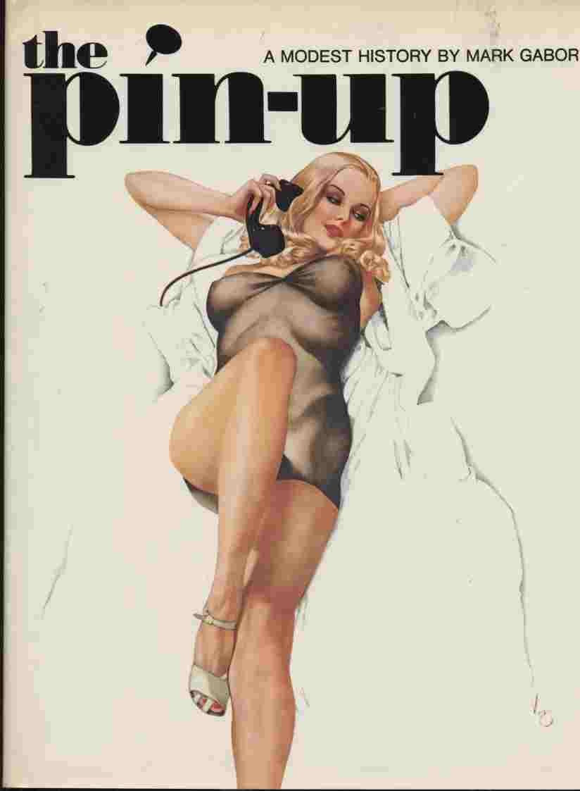 Pin Up: A Modest History used book depot