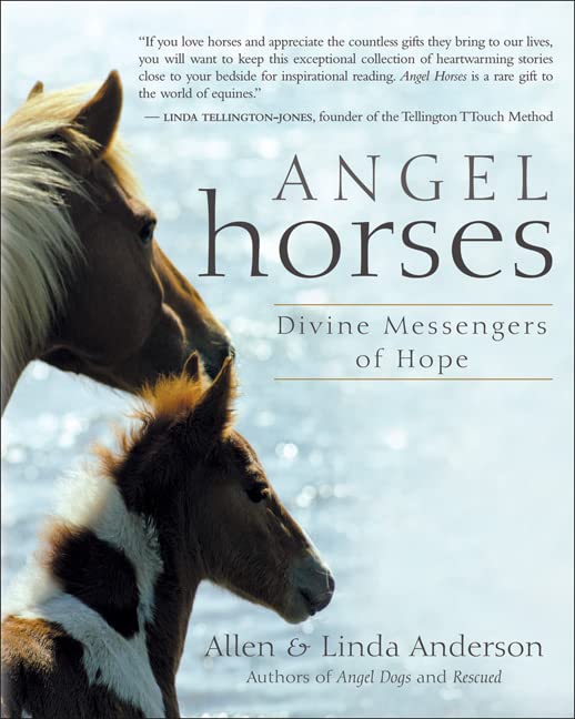 Angel Horses: Divine Messengers of Hope used book depot