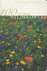 100 Texas Wildflowers Mattiza, Dorothy Baird