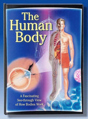 Human Body: A Fascinating See-Through View Of How Bodies Work
