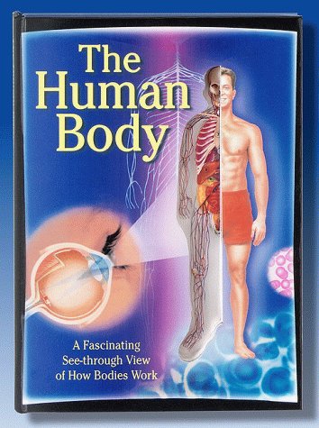 Human Body: A Fascinating See-Through View Of How Bodies Work