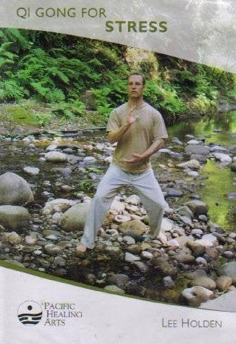 Qi gong for Stress Dvd! Lee Holden used book depot