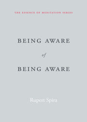 Being Aware of Being Aware (The Essence of Meditation Series)