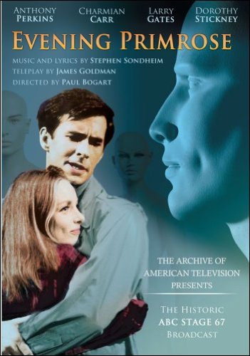 EVENING PRIMROSE - DVD Movie