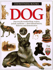 Dog (Eyewitness Books) used book depot