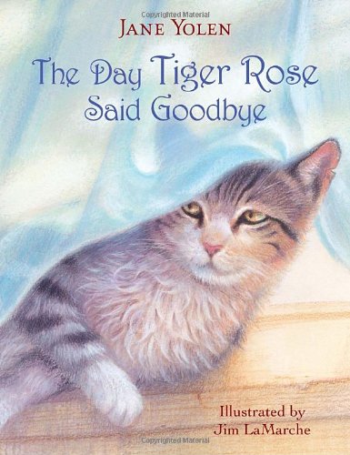 The Day Tiger Rose Said Goodbye used book depot