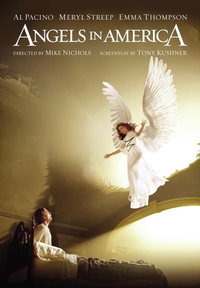 Angels in America [DVD] used book depot